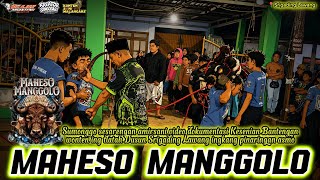 Kalapan Bringas Maheso Manggolo obrak-abrik kalangan🔥🔥