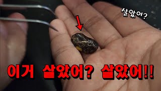 ★긴급상황★오자마자 일 터졌네요...얼른 싹 찢어버렸습니다!