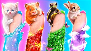 Ho Aiutato Gli Animali dei 4 Elementi! Salvataggio Estremo nella Vita Reale!