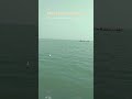 #shorts #travel #youtube #shortsviral #youtubeshorts #peace #viralshorts #positivevibes