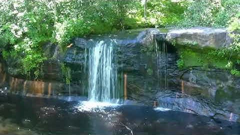 ماتيسر من سورة الكهف - محمد صالح