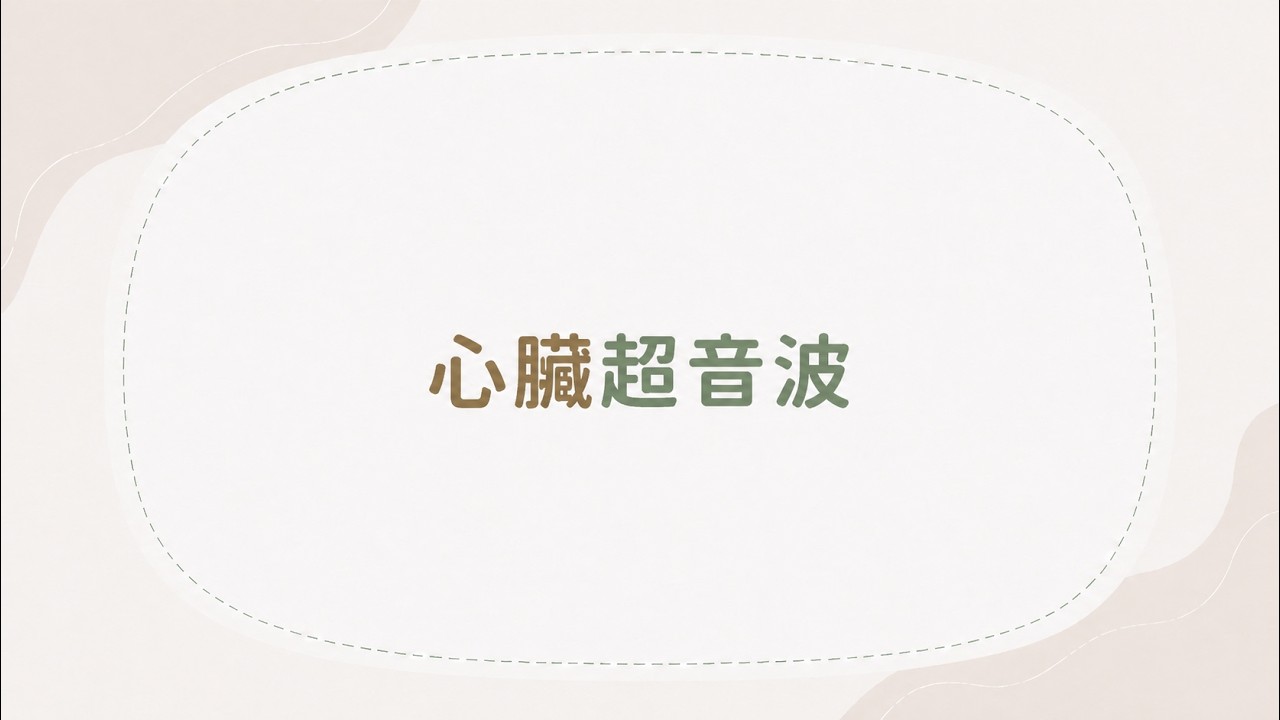 3. 一站式成長健檢-心臟超音波