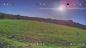 hyperlow CG/ halo nemesis