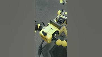 Treehacks 2024 day 1 #treehacks #hackathon #stanford #computerscience #code #csdegree #vlog