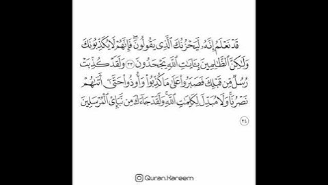 القارئ سعد الغامدي - سورة الأنعام - من الآية 33 إلى الآية 34