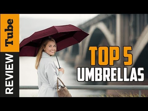 Video: The main rules when buying an umbrella