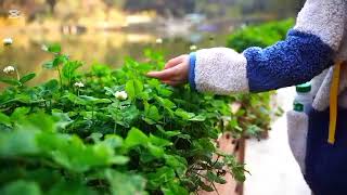 Monday Motivation: The Power of Touch-Exploring the World with Tactile Senses