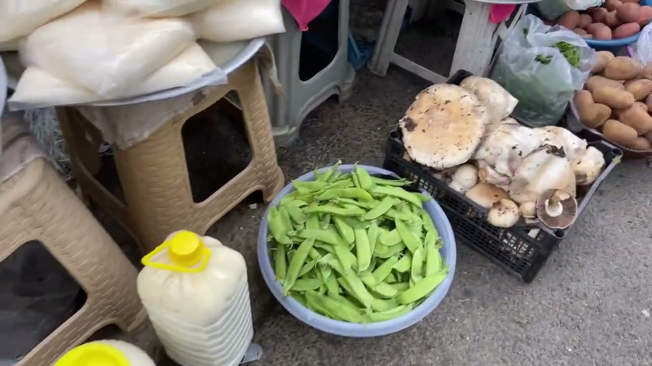 GİRESUN İLİ DERELİ İLÇESİ KÜMBET YAYLASI