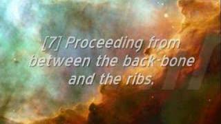 Surah At-Tariq (The Bright Star) Salih aal Talib- Clear Quality