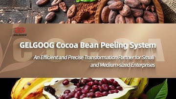 Cacao Winnowing Machine Complete System