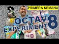 OCTAVO experimento de arena sanitaria - PRIMER AVANCE