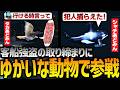 【サージタウン】大型現場に動物縛りで出撃するあどみん【GTA5】