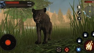 Best Animal Games - The Leopard Simulator Android Gameplay screenshot 1