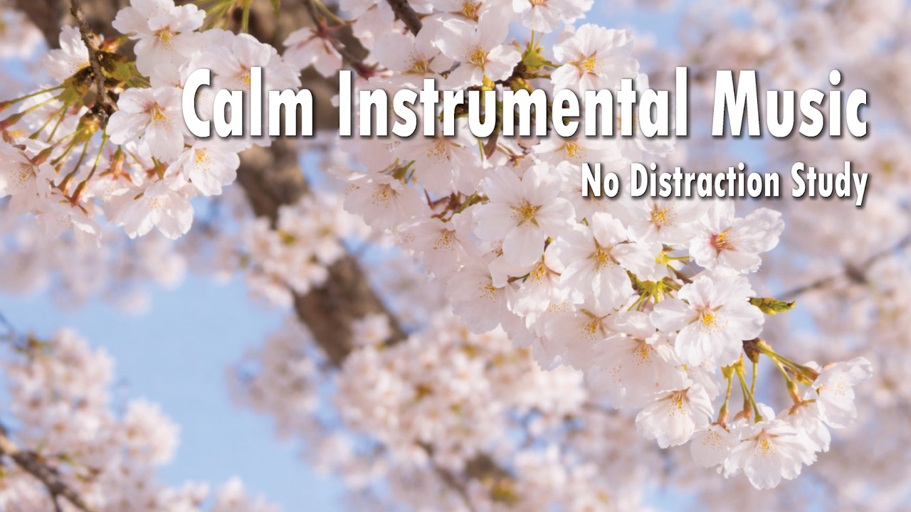 Watch 𝑷𝒍𝒂𝒚𝒍𝒊𝒔𝒕 No Distractions with Calm Instrumental Music for Study Work and Reading 🌙 on YouTube Watch 𝑷𝒍𝒂𝒚𝒍𝒊𝒔𝒕 No Distractions with Calm Instrumental Music for Study Work and Reading 🌙 on YouTube