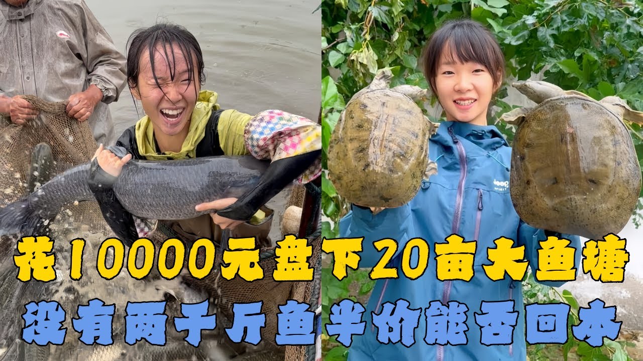 花10000元盘下20亩的大鱼塘，没有2000斤鱼只要半价能否回本？