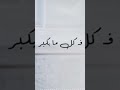 امي الدنيا عمرو مصطفى 