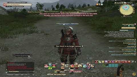 This Final Fantasy XIV Macro makes Fate grinding SO MUCH EASIER!!