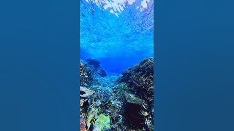 اللهم اجعل القرآن الكريم نورا لنا في الدنيا والآخرة #quran #قرآن #استغفر_الله #لايك #راحة_نفسية
