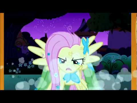 You're going to love Fluttershy