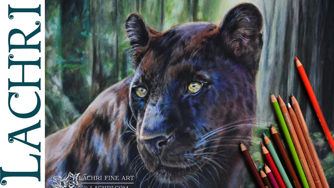 Black leopard colored pencil tutorial - speed drawing w/ Lachri - YouTube