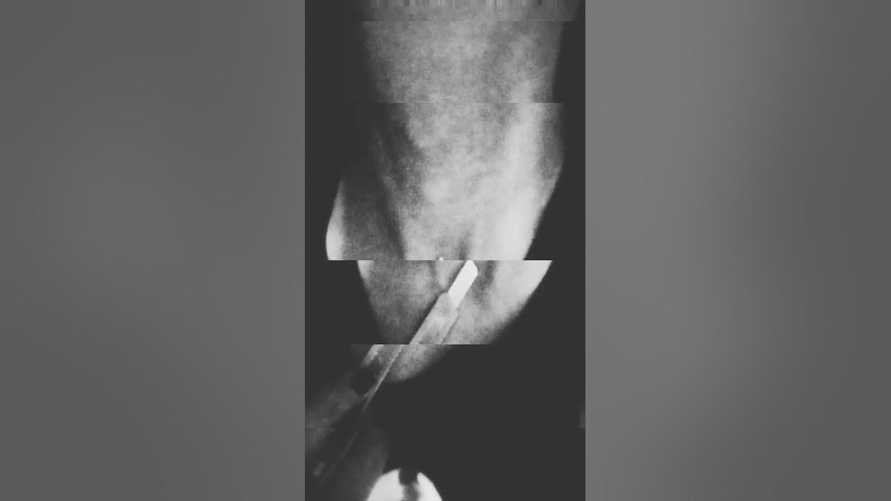 +UNTITLED+ HORROR VIDEO - YouTube