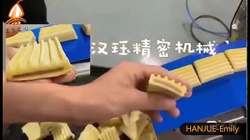 HANJUE HJ-860 Encrusting machine + Cutting device for Dates bar/Fig bar