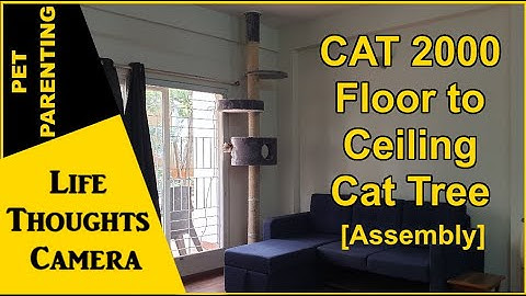 Pet Parenting #shorts : Cat 2000 Floor to Ceiling Cat Tree [Assembly - Ep 298 | Life Thoughts Camera