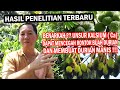 Hasil penelitian benarkah unsur kalsium di butuhkan durian saat berbunga agar tidak rontok