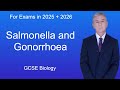 GCSE Biology Revision "Salmonella and Gonorrhoea"