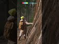 Sequoia Trees: Growth and Benefits