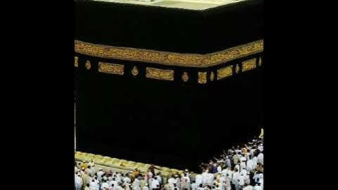 ما تيسر من سورة الرحمن تقليد رائع للشيخ ماهر المعيقلي