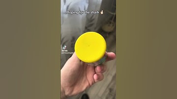 Opening a new micromallow by Squishmallows! #squishmallows #micromallow #toyopening #plush