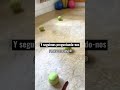 Pa divertirnos ¡Volvemos a entrenar TANGO!