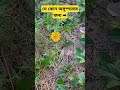 যে কোন অসুস্হতার জন্য। #islamicstatus #shortvideo