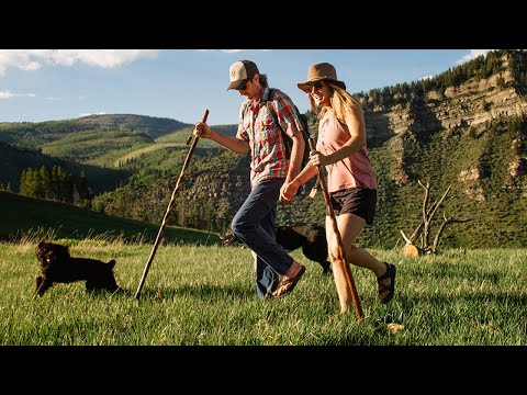 Brazos | Ergonomic Walking Stick