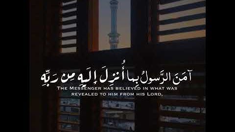 اجمل حالات واتس اب قرأن بيشه وا قادر الكردي//حالات دينيه//قران كريم//أناشيد دينيه//