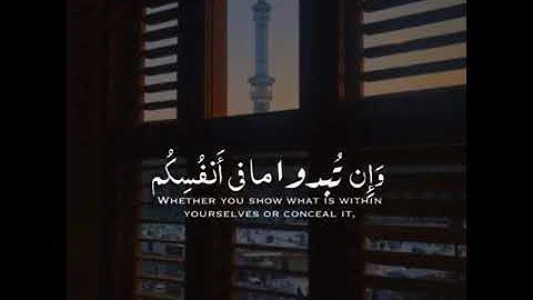 اجمل حالات واتس اب قرأن بيشه وا قادر الكردي//حالات دينيه//قران كريم//أناشيد دينيه//