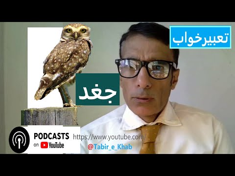 تعبیر خواب جغد دیدن جغد در بیداری تعبیر جغد در خواب تعبیرخواب جغد جقد