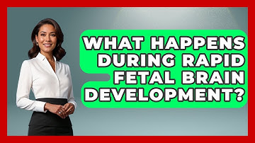 What Happens During Rapid Fetal Brain Development? - Brain Development Hub