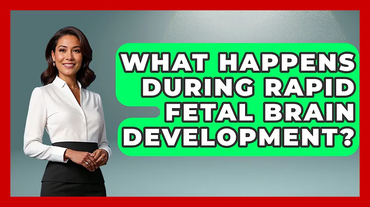 What Happens During Rapid Fetal Brain Development? - Brain Development Hub