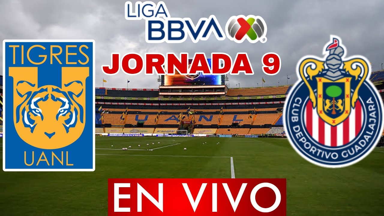 TIGRES VS CHIVAS EN VIVO JORNADA 9 CLAUSURA 2023 / PREVIA, ANALISIS Y ...