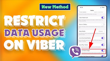 How to Restrict Data Usage on Viber 2024 | Skill Wave