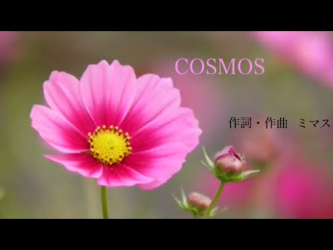 【合唱】COSMOS（混声三部合唱）歌詞付き