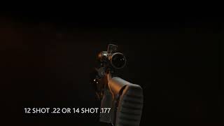 EB Arms XV2
