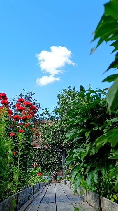 Цветочный вальс. Летнее настроение. Город Ишим / Flower Waltz #ишим # ...