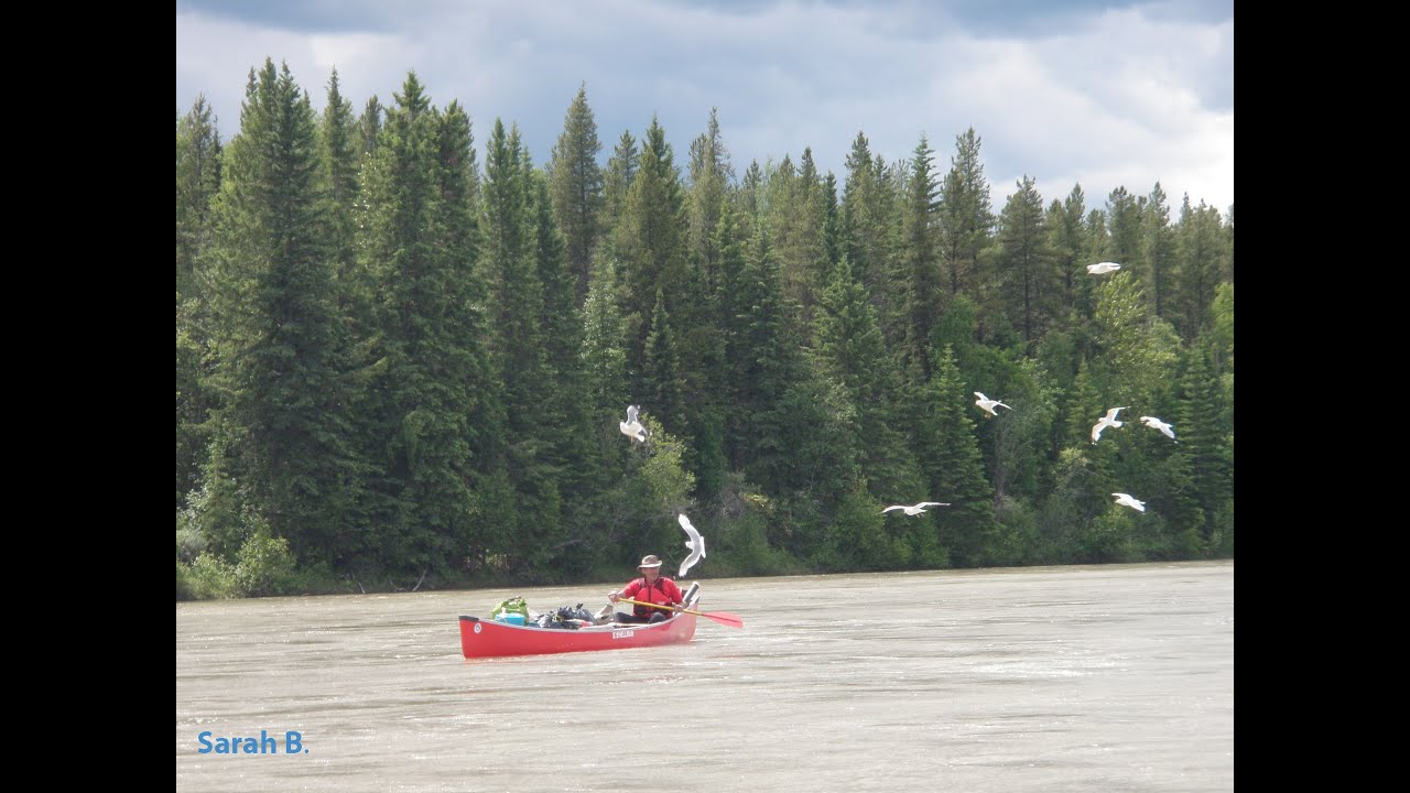 Canoe the Athabasca River with Timberwolf Tours