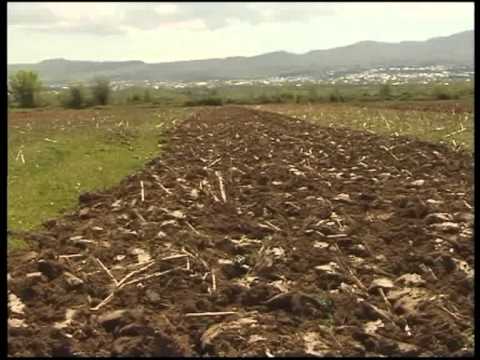 მცირემიწიან ფერმერთა საგაზაფხულო სამუშაოების დახმარების პროგრამა