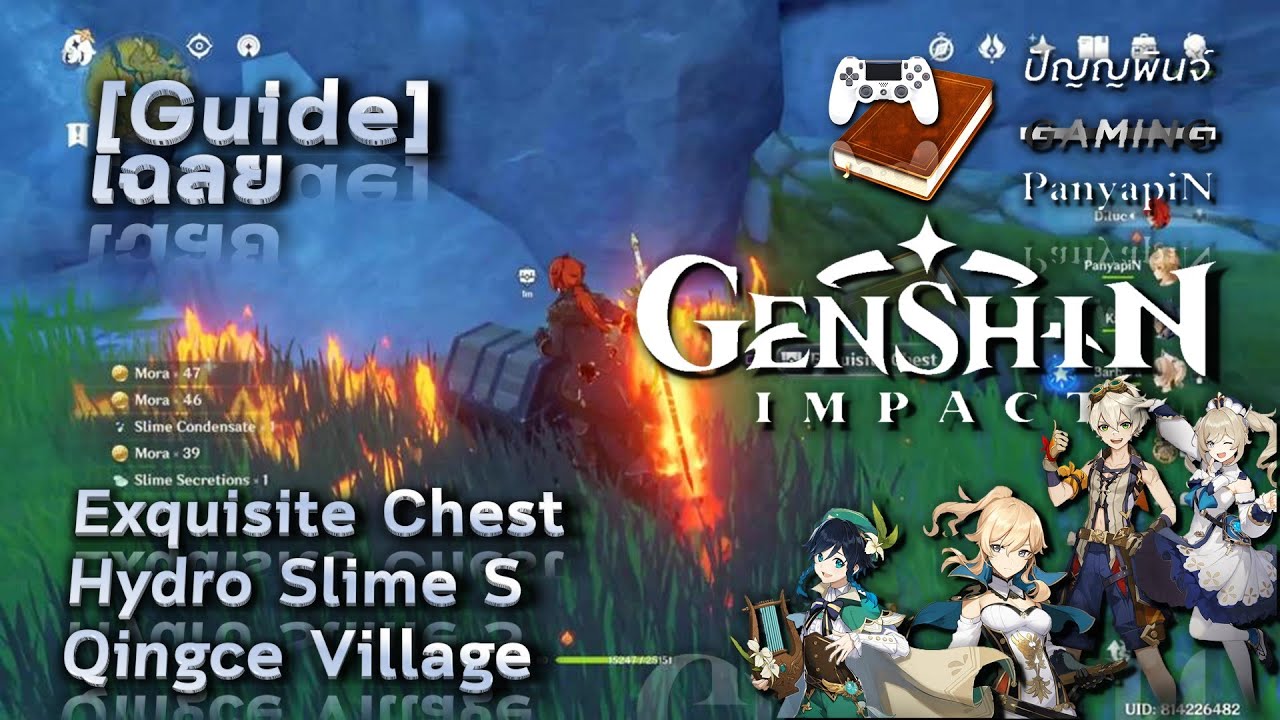 [Guide] Genshin Impact Exquisite Chest Hydro Slime S Qingce Village เฉลย เก็นชินอิมแพกต์