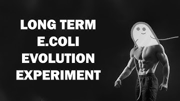 What happens to bacteria if you grow them for 37 years?