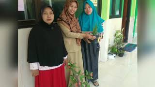 Sdn Sugihwaras 1 Kepohbaru Bojonegoro Menuju Sekolah Adiwiyata